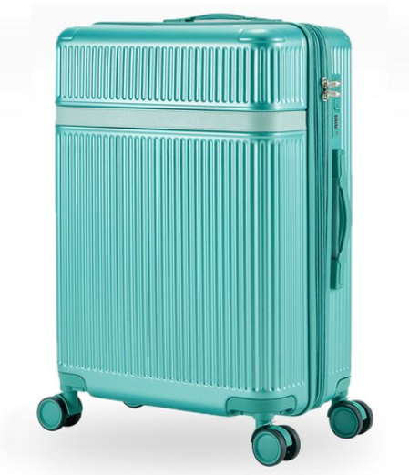 아날도바시니 링클 여행용 확장형 경량 하드 캐리어